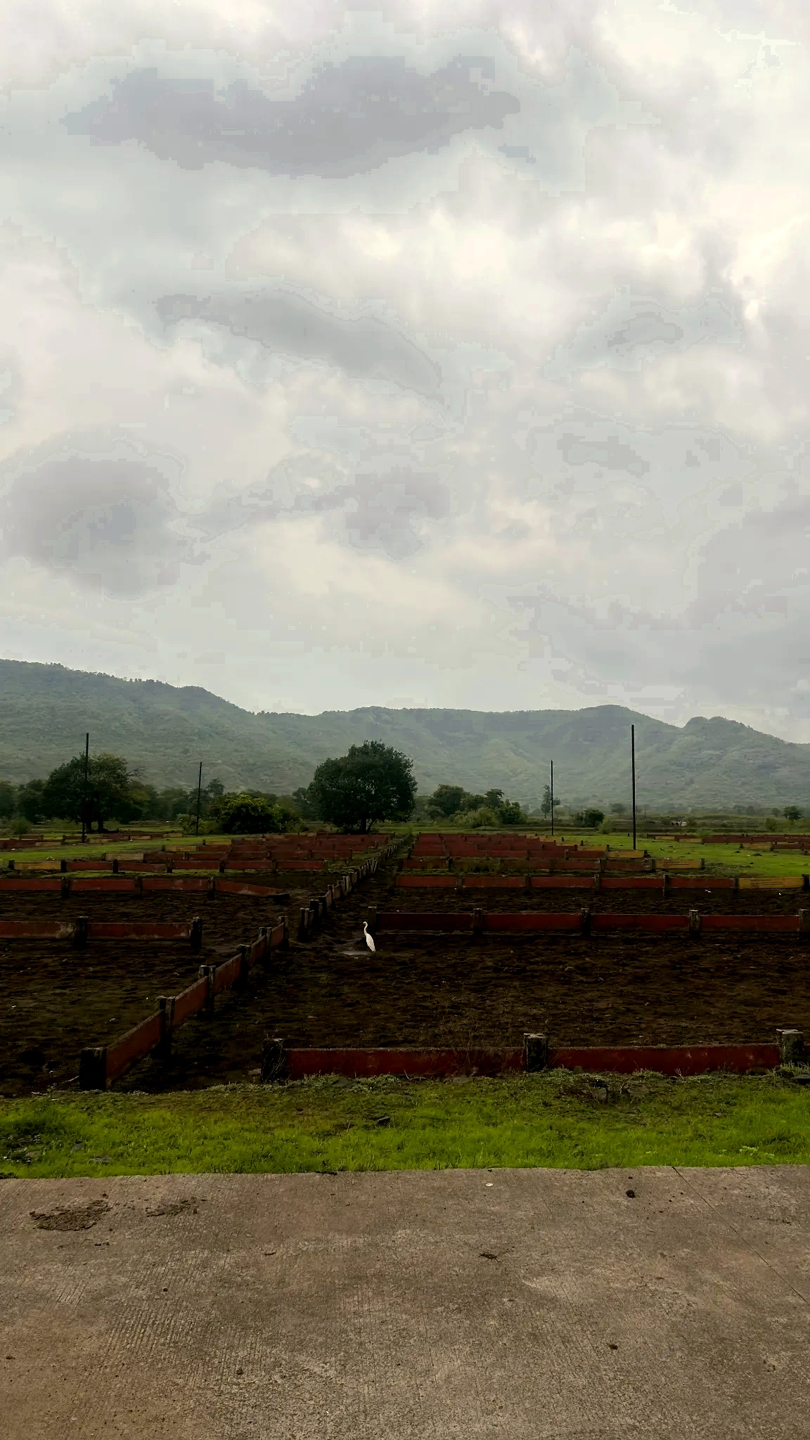 Leveled Plots & Scenic Valley Vista